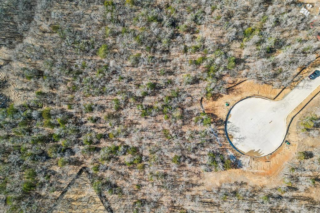 The Conservation - Land