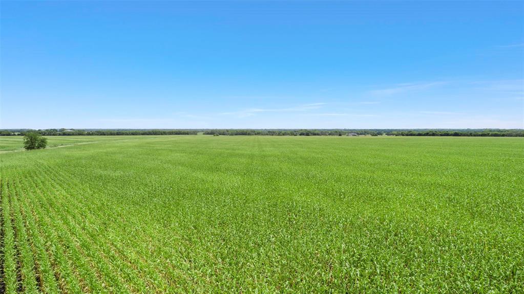 James Moore Surv Abs #654 - Land