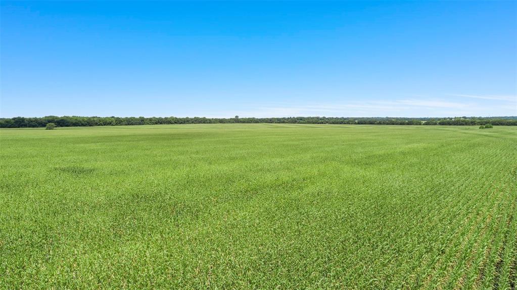 James Moore Surv Abs #654 - Land