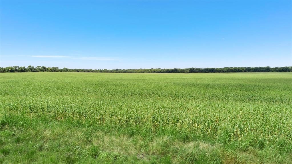 James Moore Surv Abs #654 - Land