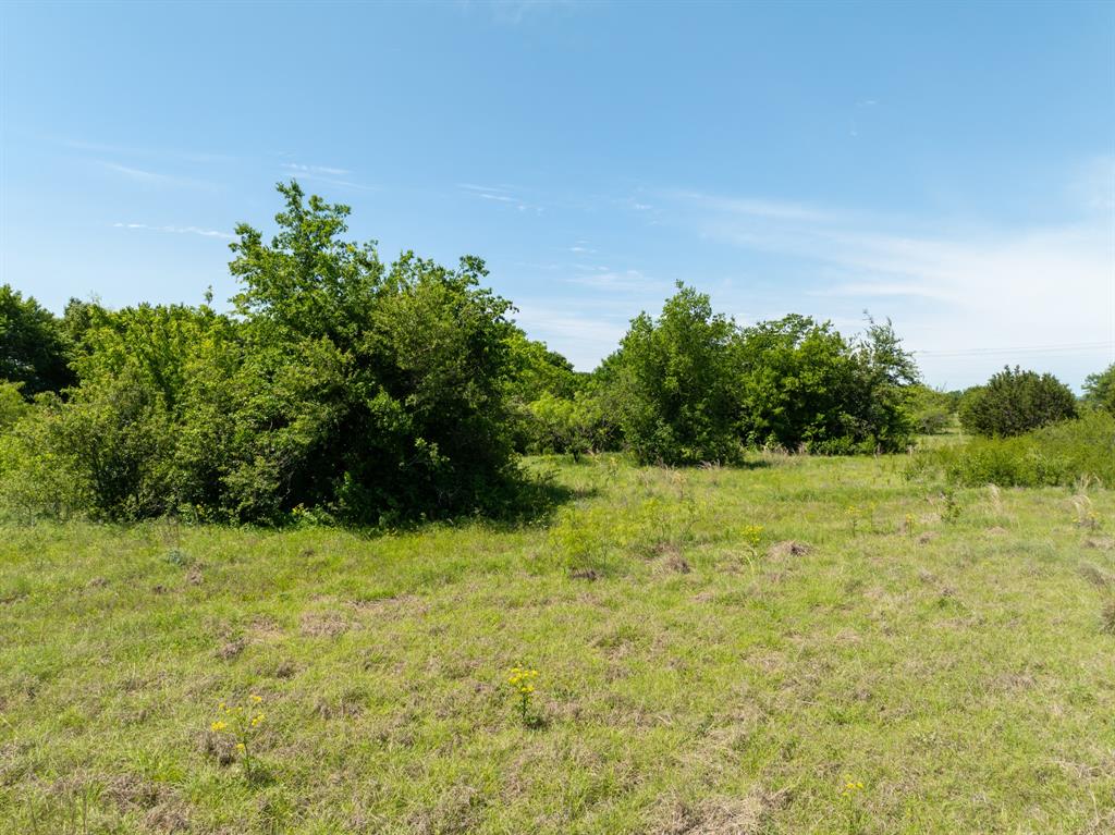 LAKE WHITNEY ACRES - Land
