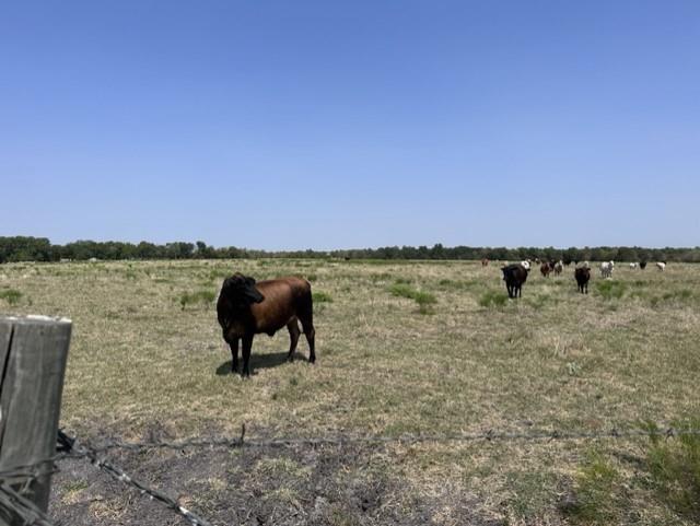 A0380 GILBREATH JAMES M, TRACT W2-1, ACRES 81.648 - Farm