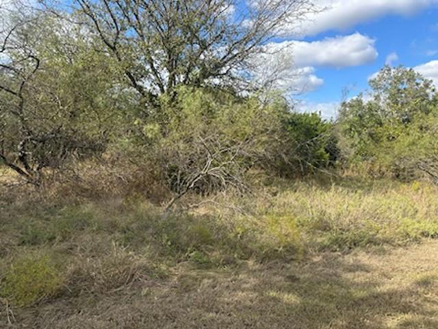 White Bluff #1 - Land