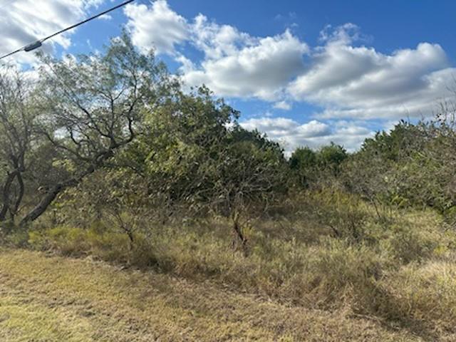 White Bluff #1 - Land