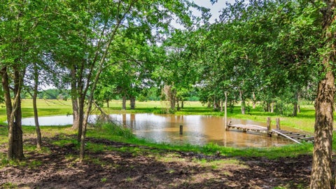 Photo of 7478 County Road 1020, Wolfe City, TX 75496 (MLS # 21388021)