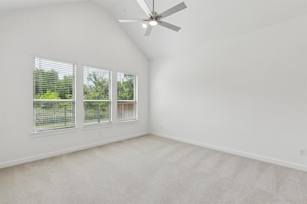 Painted Tree - Residential