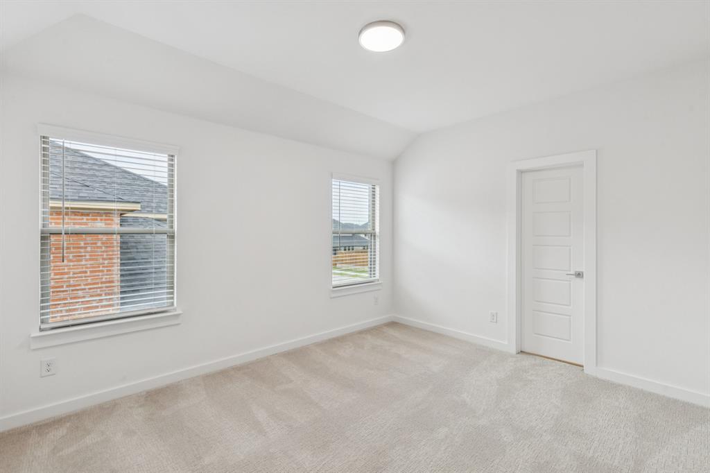 Painted Tree - Residential