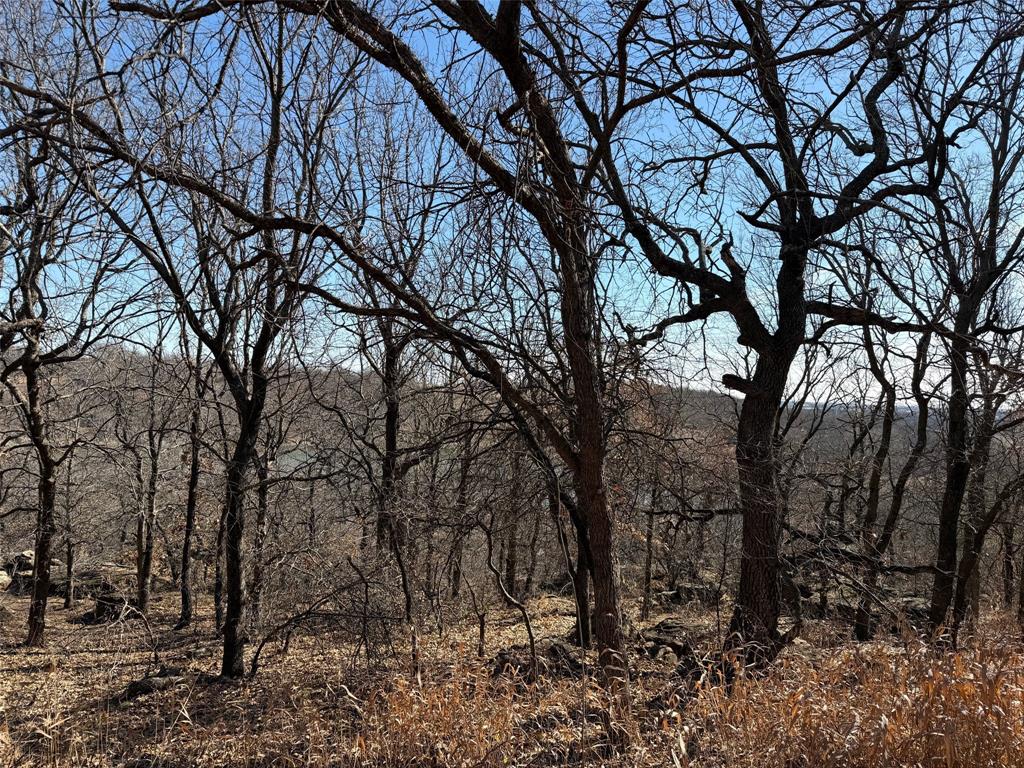 Timber Ridge Lake Sub - Residential