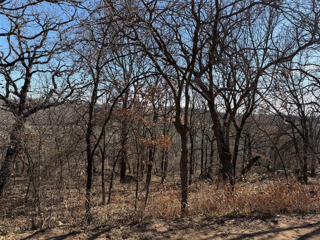 Timber Ridge Lake Sub - Residential