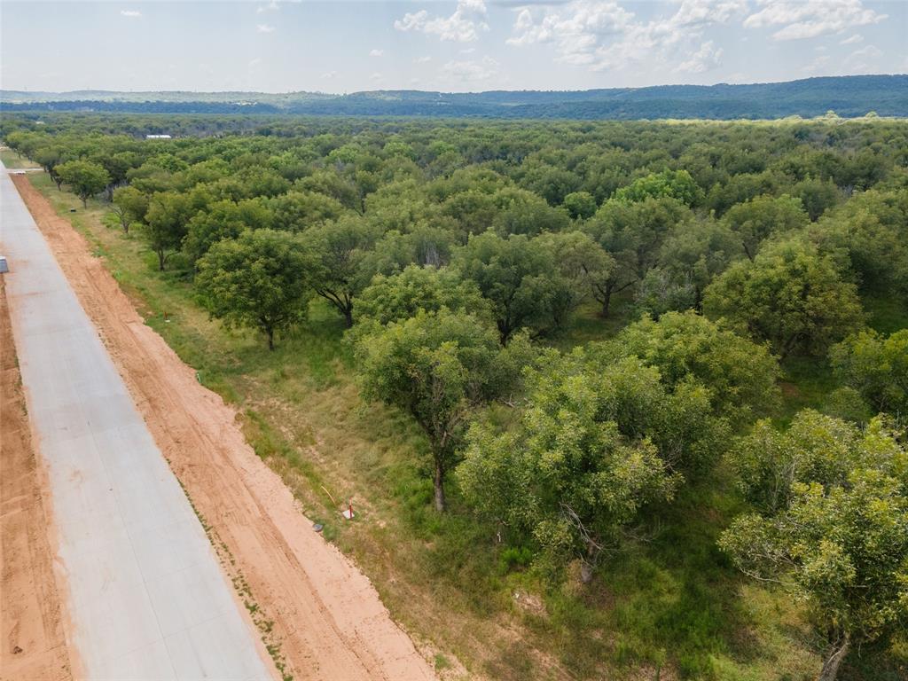 Pecan Plantation - Land