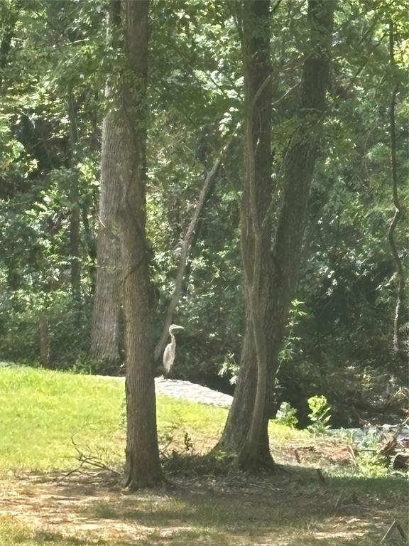 G-0336 DAVIS M C A-G0336 - Land