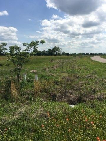 The Villages of Lone Oak Phase III - Land