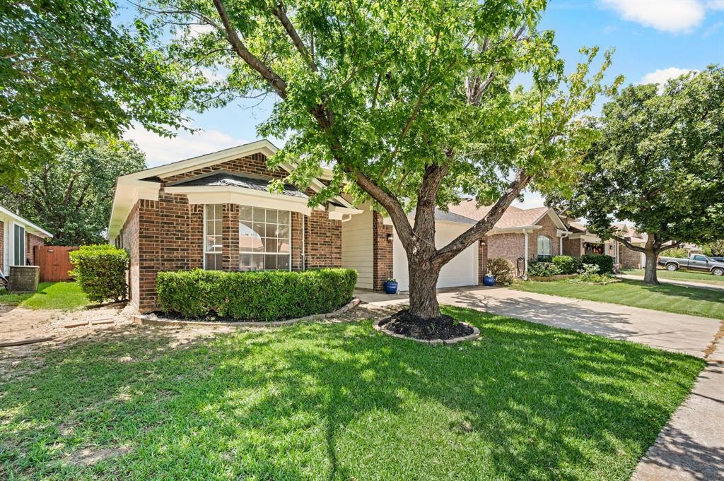 1137 Union Drive