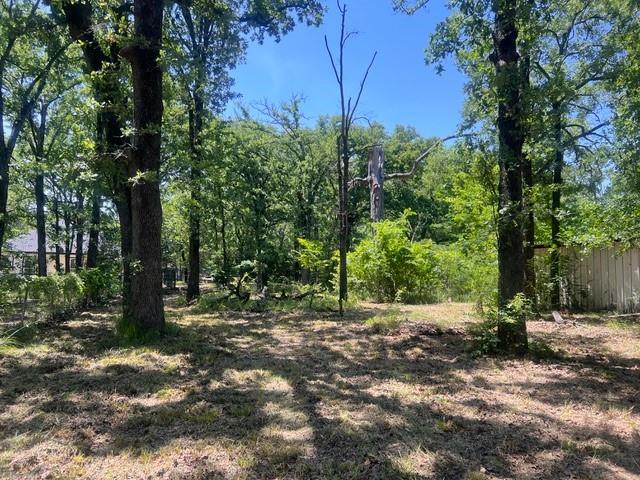 Mantle Manors Sec 01 - Land