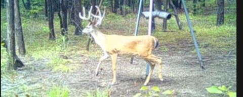 TBD Fm 2101 Quinlan TX 75474