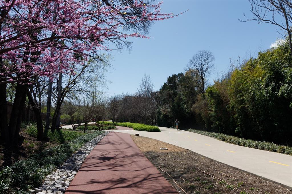 Buena Vista Condo 4044 - Residential Lease