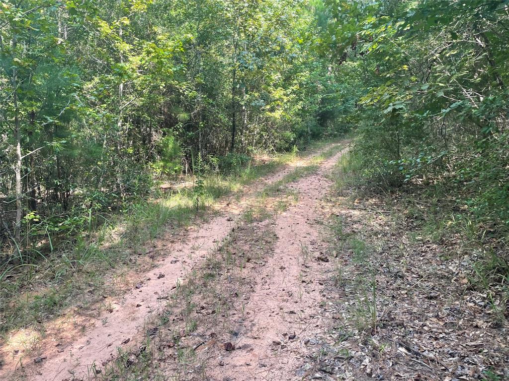 649 An County Road 1215