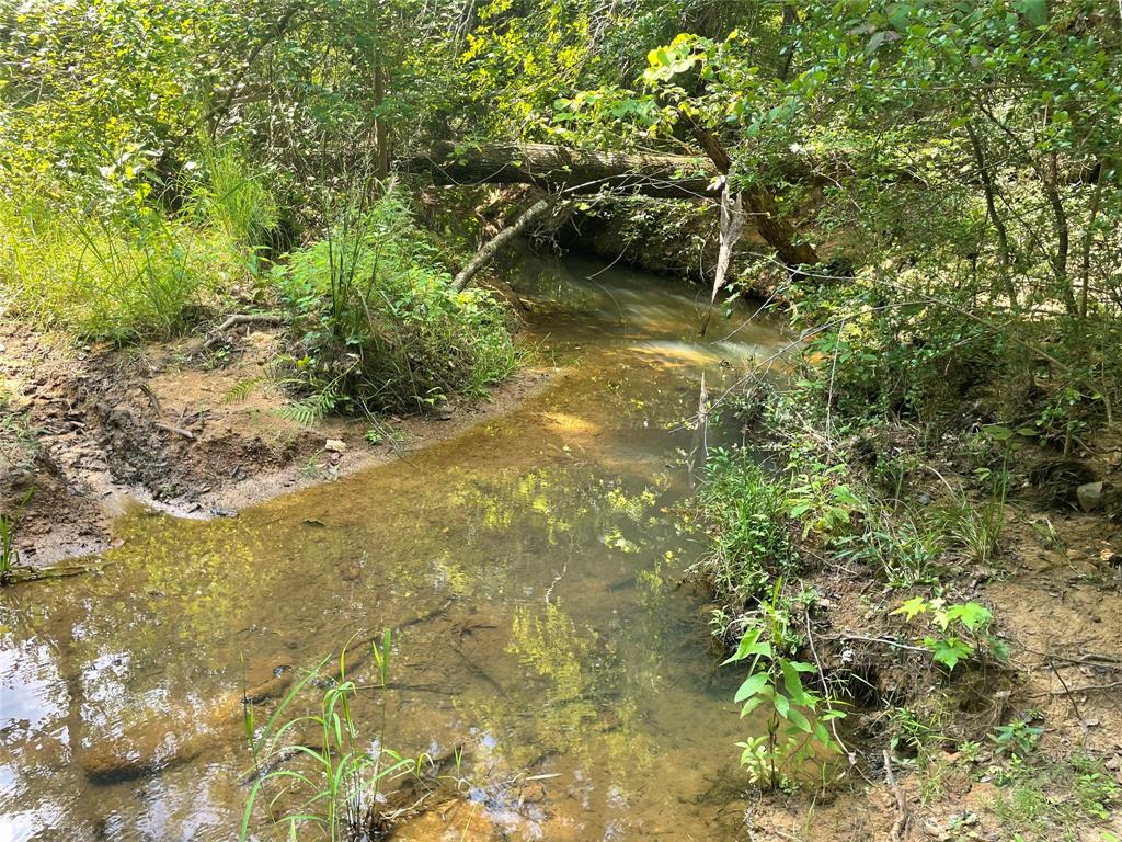 649 An County Road 1215