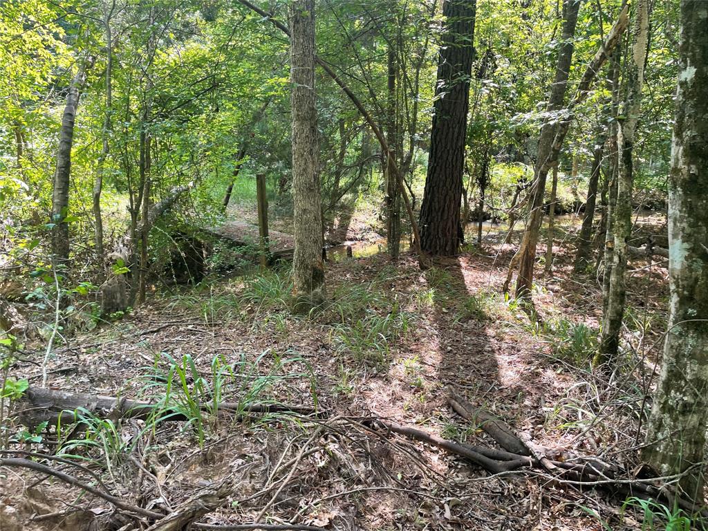 649 An County Road 1215