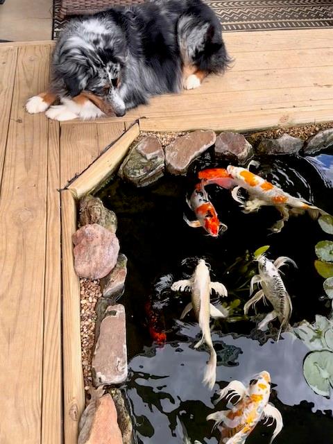 Heatherwood Estates - Residential