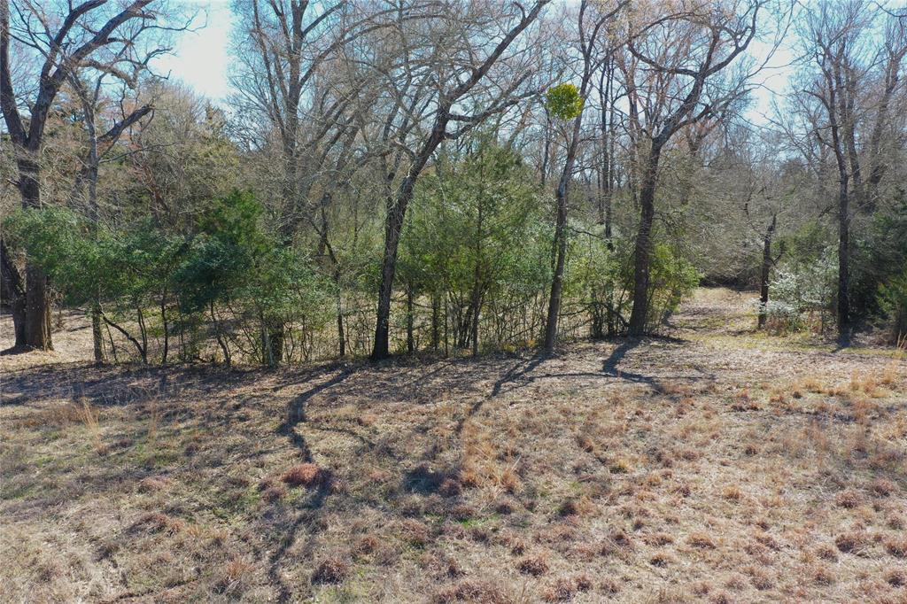 J Graham Surv - Land