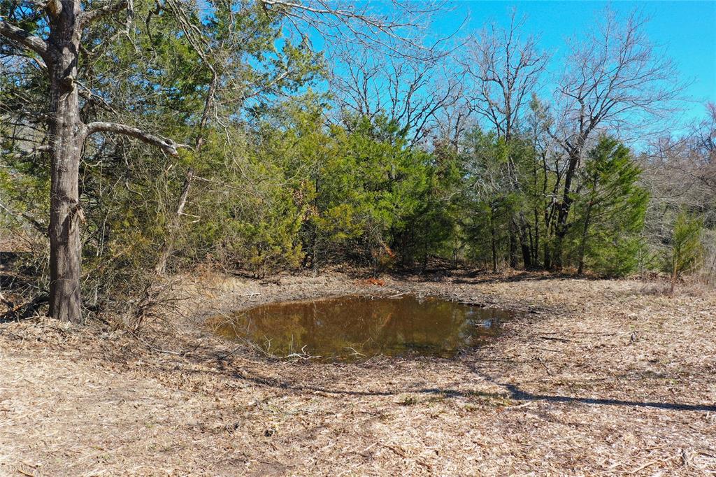 J Graham Surv - Land