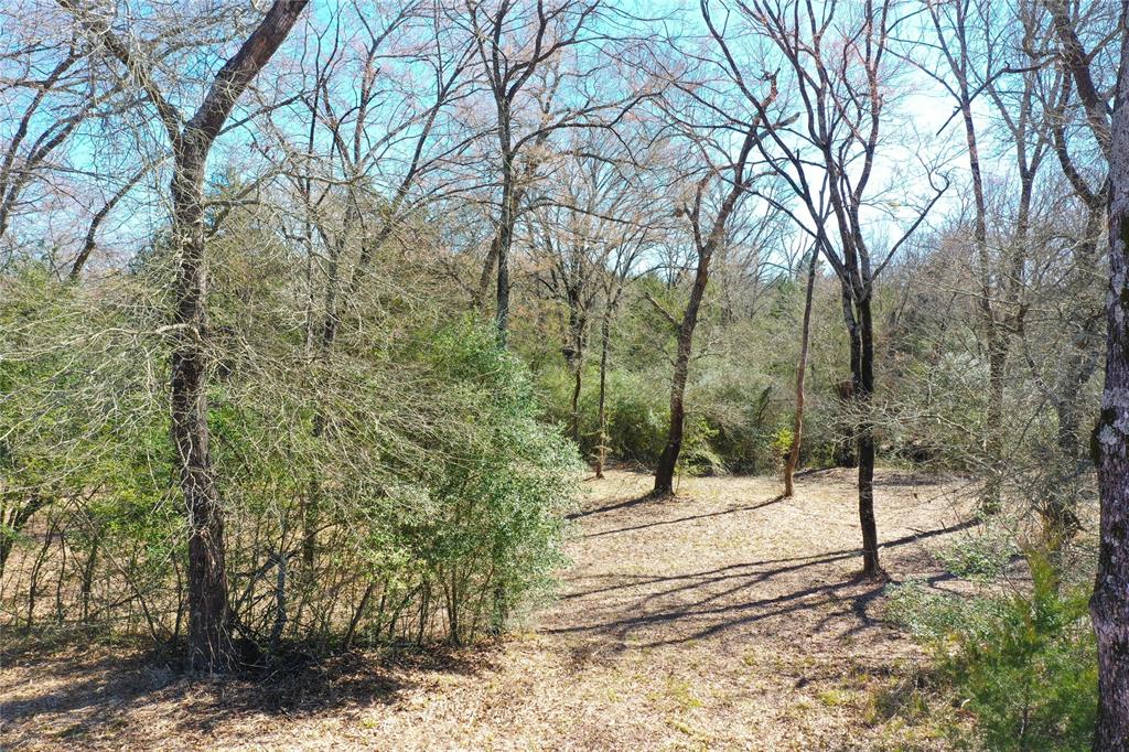 J Graham Surv - Land