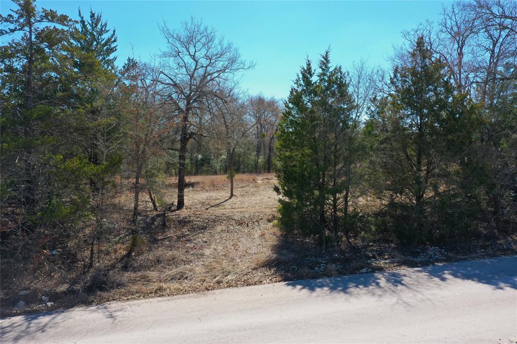 J Graham Surv - Land