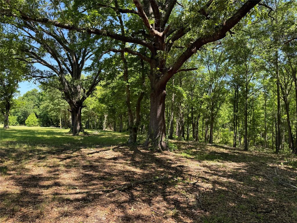 Waters Edge Ranch 29 Ph 01 - Land