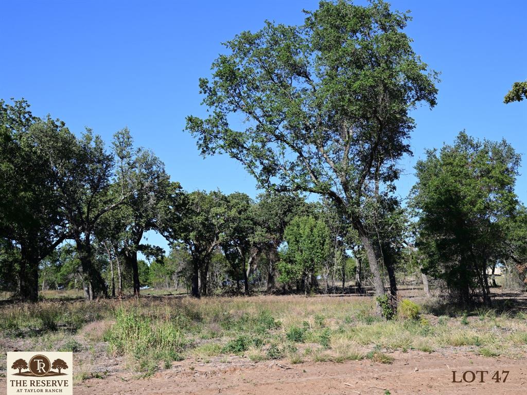 Lot 47 Colt Road