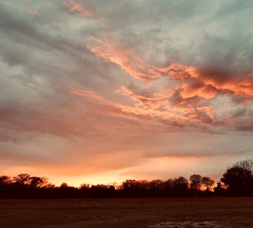 Serenity Point - Land