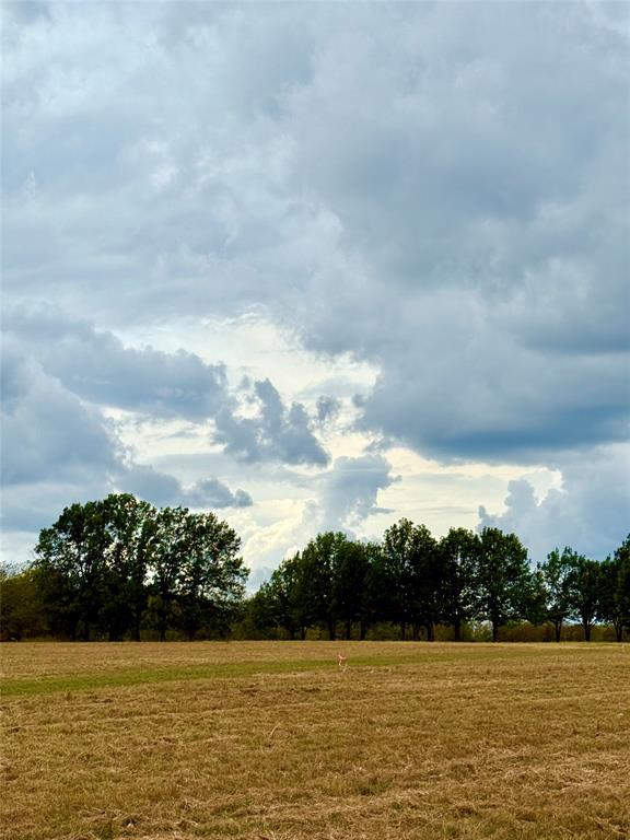 TBD Lot 12 County Road 3811