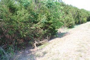 White Bluff #05 - Land