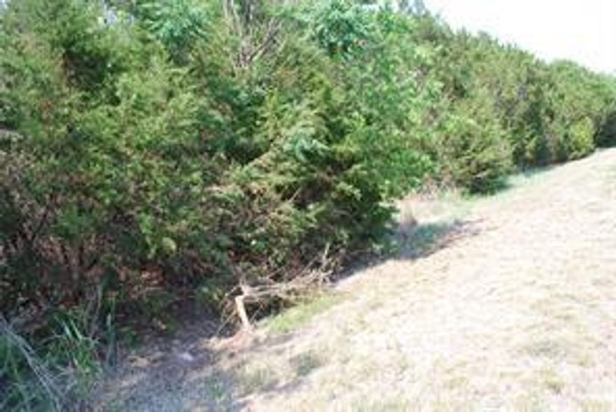 Beautiful lot over an acre in the front section which is considered the equestrian portion of White Bluff. Enjoy peace & tranquility of living in 24-7 gated community located north on one of the most prestigious lakes in central Texas, Lake Whitney. POA community with 2-World Class 18-Hole Golf Courses that are a challenge for any golfer, marina, 4 swimming pools to choose from to cool off while soaking up the sun, restaurants, tennis courts, etc. Wildlife roam freely throughout the community. Build your dream home, rather a permanent residence or weekend get-away.