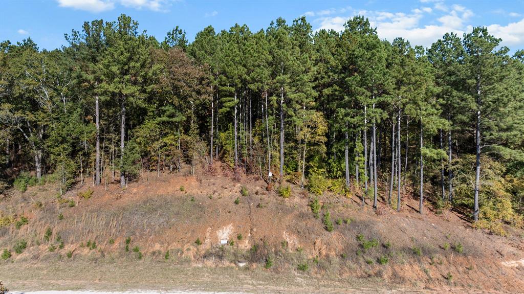 Veritatis Splendor - Land