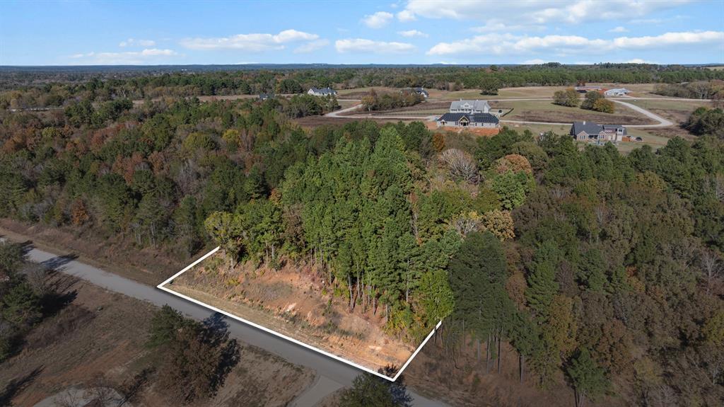 Veritatis Splendor - Land