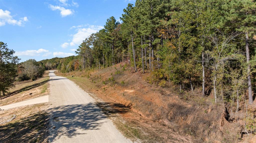 Veritatis Splendor - Land