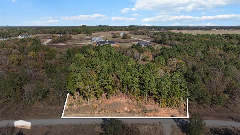 Veritatis Splendor - Land