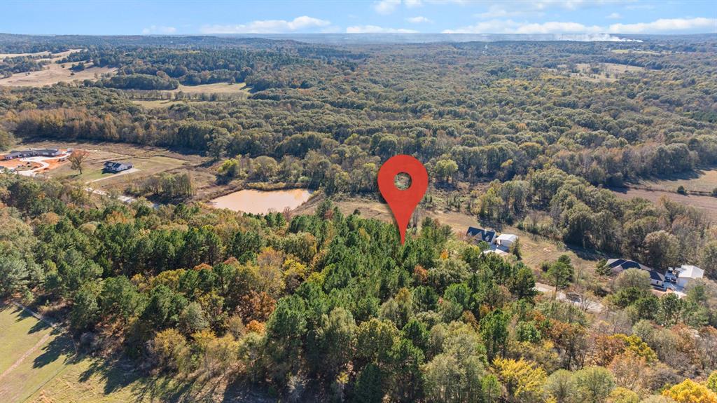 Veritatis Splendor - Land