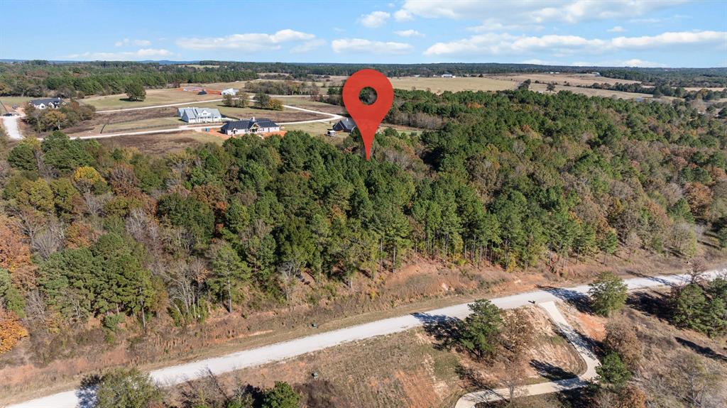 Veritatis Splendor - Land