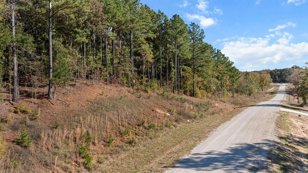 Veritatis Splendor - Land