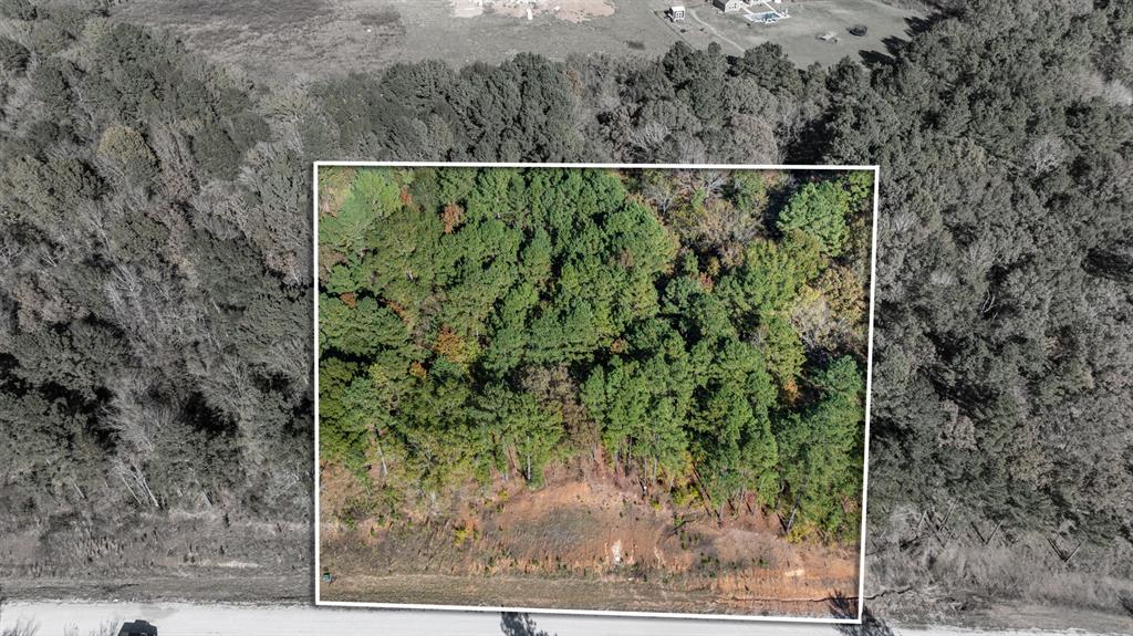 Veritatis Splendor - Land