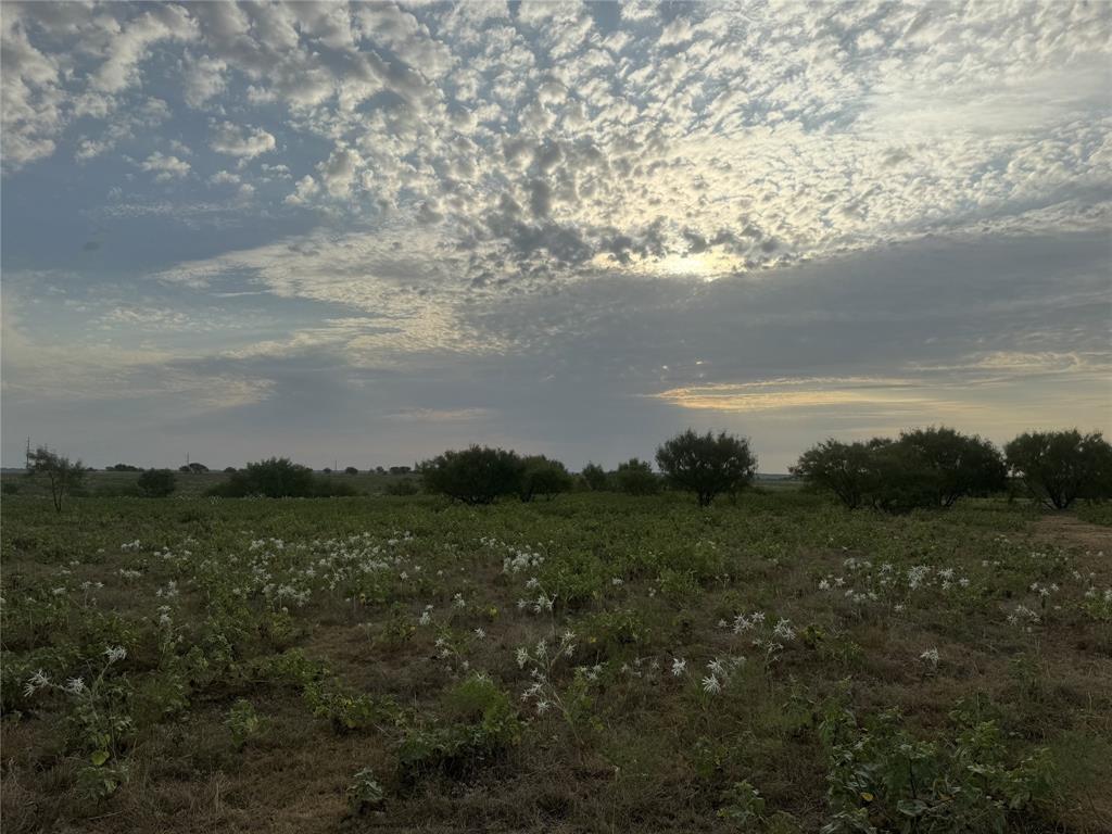 Mabel Estates Ph 2 - Land