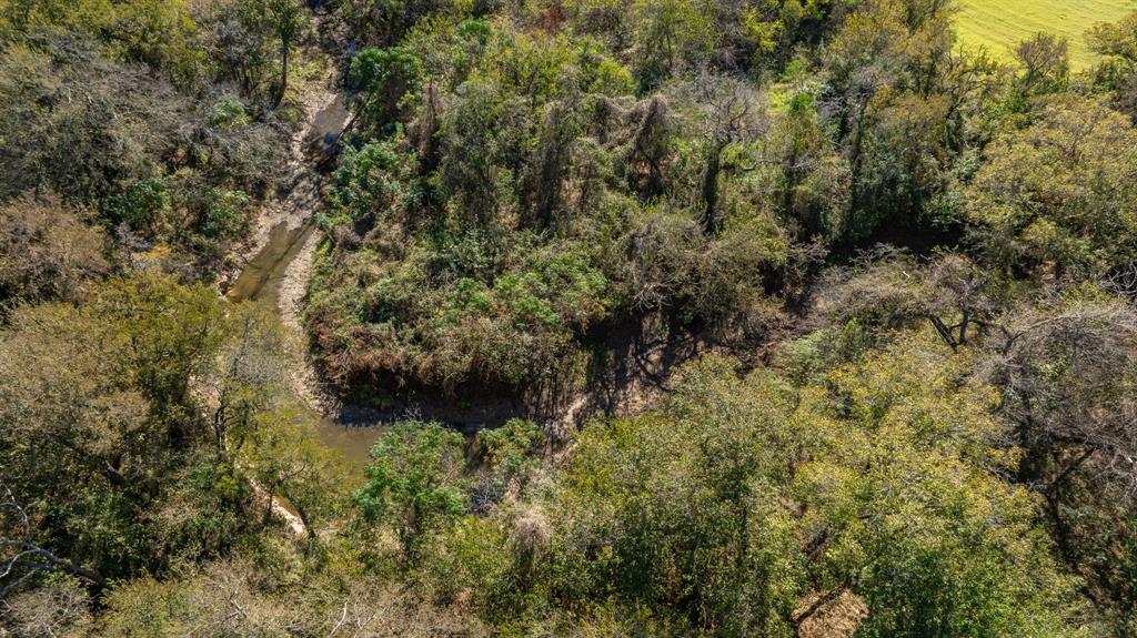 John Blair Surv Abs #32 - Land