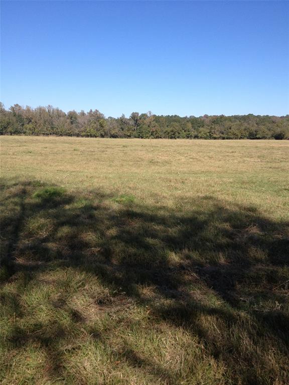 2280 County Road 129