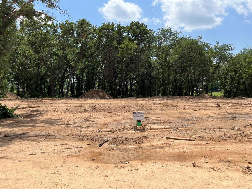 No HOA. Beautiful Treed Lots with Concrete streets and curbs. Underground utilities. City water and sewer. Tolar ISD. Come see this great new community and choose your lot before they are all gone. If you do not have a builder we can provide one for you.