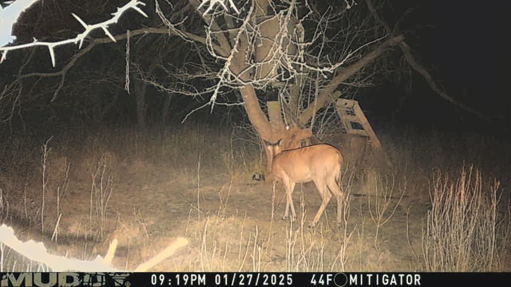 15110 County Road 2250