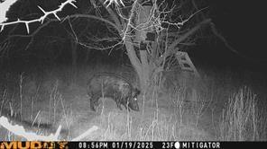 15110 County Road 2250