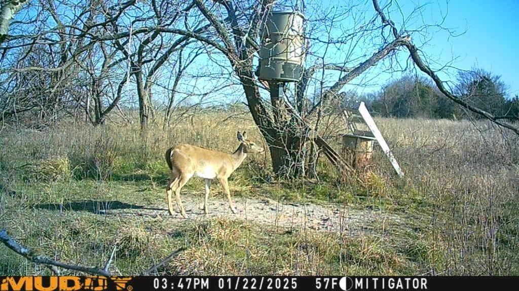 15110 County Road 2250