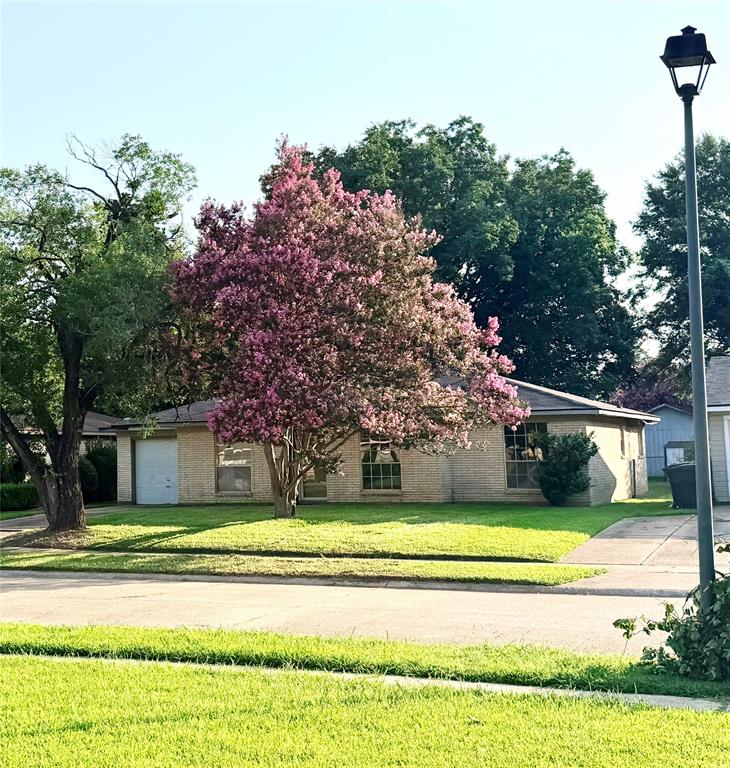 3513 Nikki Lynn Drive
